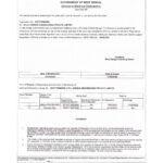 Contractor License